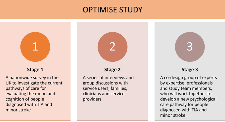 the three stages of an optimise study