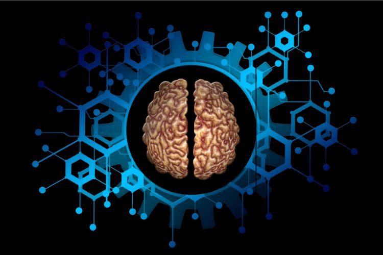 brain-musa-blog-750-x-500